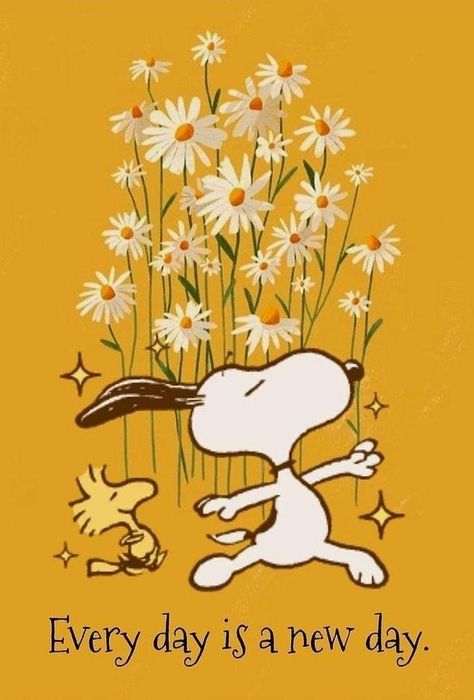 Pin by Jessica Janssen on Snoopy in 2022 | Snoopy pictures, Snoopy cartoon, Snoopy wallpaper Peanuts Quotes, Good Morning Snoopy, Woodstock Snoopy, Snoopy Dog, Snoopy Cartoon, Snoopy Funny, Snoopy Images, Peanuts Cartoon, Snoopy Wallpaper