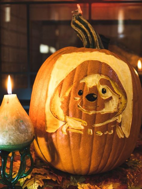 Paddington Bear Halloween pumpkin Bear Pumpkin, Bear Halloween, Spooky Halloween Decorations, Paddington Bear, Fun Family Activities, Decoration Idea, Halloween Decoration, Family Activities, Craft Tutorials