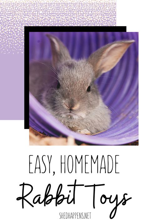 A small grey rabbit laying inside of a purple tunnel on top of a bed of shavings. Text states: Easy, homemade rabbit toys. How To Make Rabbit Toys Diy, Diy Rabbit Burrow, Diy Enrichment Toys For Rabbits, Rabbit Cages Ideas, Rabbit Climbing Ideas, How To Make Bunny Toys, Bunny Boredom Busters, Activities For Rabbits, Homemade Treats For Rabbits