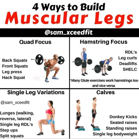 4 Ways to Build Toned Legs Muscular Legs Workout, Leg Workouts For Men, Powerlifting Workouts, Kettlebell Workouts, Lose Thigh Fat, Muscular Legs, Workout Splits, Leg Training, Toned Legs