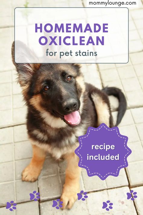 Diy Oxiclean, Diy Oxyclean, Homemade Oxiclean, Odor Eliminator Diy, Pet Stain Remover, Homemade Stain Removers, Remove Pet Stains, Diy Stain Remover, Laundry Detergent Recipe