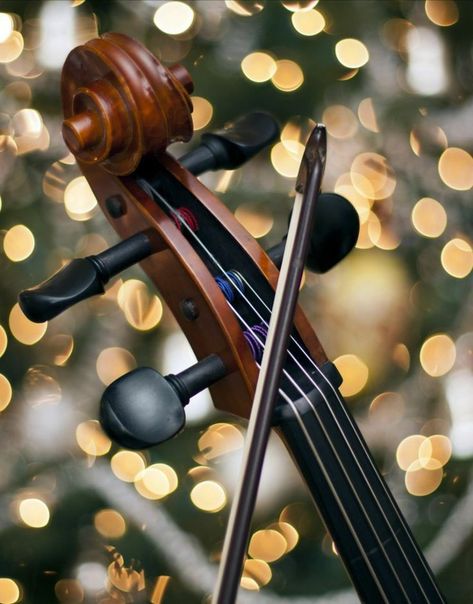 Christmas Violin, Violin Photography, Pastel Aesthetic, Music Art, Violin, Piano, Musician, Music Instruments, Wallpapers