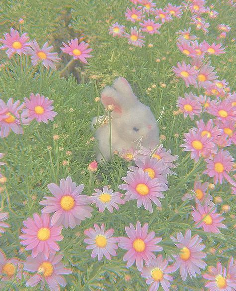 cottagecore, cottage, fairy, fairycore, pastel, nature, aesthetic Pastel Nature Aesthetic, Pink Asthetics Wallpaper, Fairy Core Aesthetic, Pastel Cottagecore, Pastel Nature, Pastel Kidcore, Creepy Cute Fashion, Cottagecore Wallpaper, Iphone Wallpaper Cat