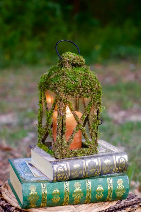 Enchanted Forest Wedding Lanterns, Fairy Garden Photography, Enchanted Forest Lanterns, Fairy Photoshoot Props, Fairy Diy Decor, Fairy Themed Wedding Decoration, Woodsy Wedding Dress Fairytale, Fairy House Centerpiece, Diy Fairy Photoshoot