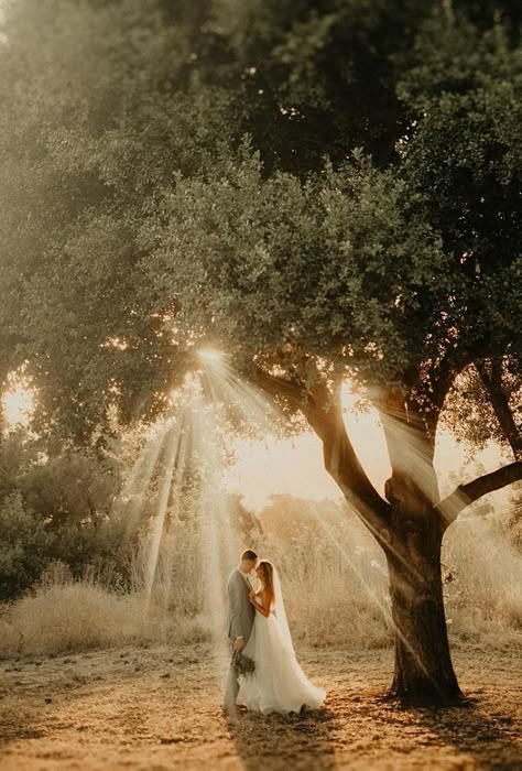 Photography Ideas For Weddings, Wedding Landscape Photography Photo Ideas, Wedding Foto Ideas Creative, Outside Wedding Picture Ideas, Outdoor Wedding Pictures Ideas, Rustic Wedding Portraits, Woods Elopement Photo Ideas, Wedding Pictures In A Field, Wedding Photo Ideas Woods