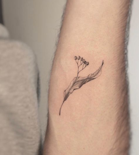 Linden Flower Tattoo, Linden Tree Tattoo, Linden Tattoo, Prague Tattoo, Wild Flower Tattoo, Cool Nature Tattoos, Bloom Tattoo, Nature Tattoo Ideas, Cool Nature