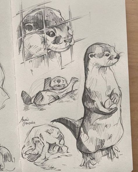 Drawings Of Animals, Animals And People, Animal Drawings Sketches, Animals And Birds, Arte Sketchbook, Arte Inspo, Dessin Adorable, Arte Animal, Book Art Drawings