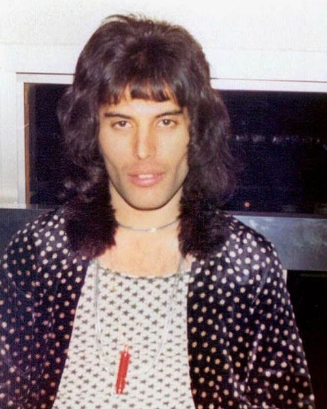 40 & Fabulous, 40 And Fabulous, Rami Malek, Queen Photos, Roger Taylor, Queen Freddie Mercury, Queen Pictures, Banana Tree, John Deacon