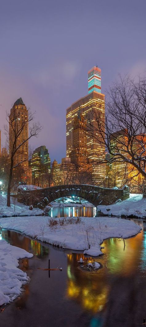 Central Park in winter Central Park Winter, New York Snow, Fall Scenery, Winter In New York, Central Park New York City, Night Scenes, York Christmas, New York Wallpaper, New York City Photos