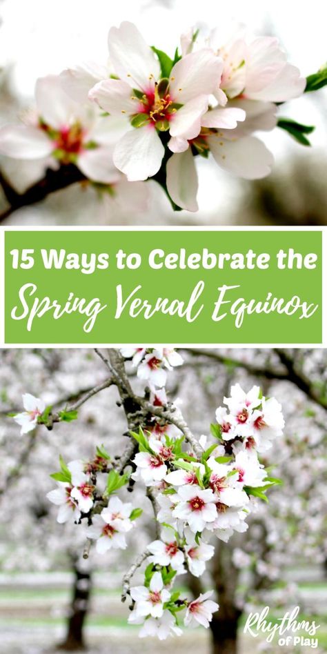 The spring vernal equinox typically occurs between the 20th and 22nd of March in the Northern Hemisphere while those in the Southern Hemisphere celebrate in September.  Click through to find traditional equinox celebration ideas, crafts, and decorations you can make! #equinox #spring #vernal #celebration #familyfun #thingstodo Spring Equinox Celebration, Spring Traditions, Equinox Spring, Equinox Celebration, Spring Solstice, Fall Or Autumn, Diy Wainscoting, Diy Blanket Ladder, Seasonal Activities