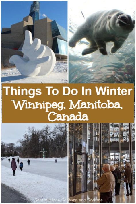 Ten Things To Do In Winter In Winnipeg, Manitoba: Winnipeg Winter Attractions, things to see and do in Winnipeg, Manitoba, Canada in winter Winnipeg Winter, Canada In Winter, Vancouver Travel Guide, Montreal Travel Guide, Things To Do In Winter, Montreal Travel, Alberta Travel, Vancouver Travel, Winnipeg Canada