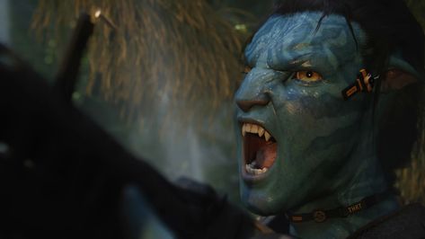 Avatar Wallpaper, Avatar Film, Stephen Lang, Jake Sully, Sam Worthington, Free Avatars, Avatar James Cameron, Avatar Films, Avatar Picture