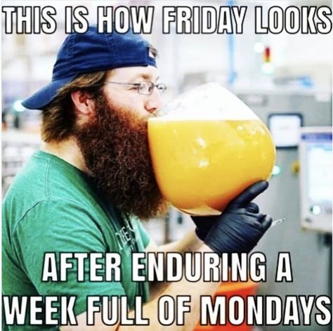 Celebrate the arrival of the weekend with these hilarious Friday memes. The end of the week is a perfect time to make someone laugh. #funny #memes #friday Tgif Meme, Friday Memes, Jokes Of The Day, Tgif Funny, Funny Friday, Friday Meme, Funny Friday Memes, Friday Quotes Funny, Alcohol Humor