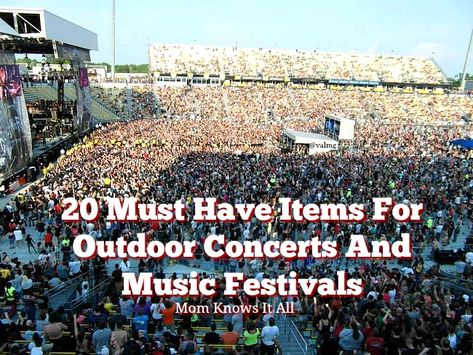 Concert Gift Ideas, Outdoor Concert Outfit, Concert Tailgate, Music Festival Camping, Edm Concert, I Know Everything, Concert Gift, Festival Must Haves, Concert Bags