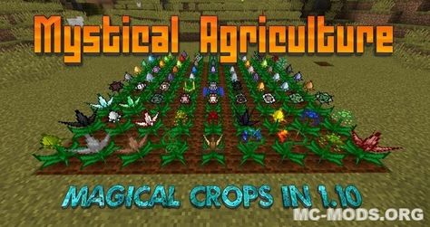 Cultivate magical crops and gather their magical essences with this wonderful mod Mystical Agriculture. Created by username BlakeBr0, the mod offers a... The post Mystical Agriculture Mod (1.19.3, 1.18.2) — Everything can be grown appeared first on MC-Mods.org. Minecraft Magic, Mc Mods, Harvest Crafts, Minecraft Forge, Natural Cave, Minecraft 1, Minecraft Mods, Minecraft Designs, Agriculture