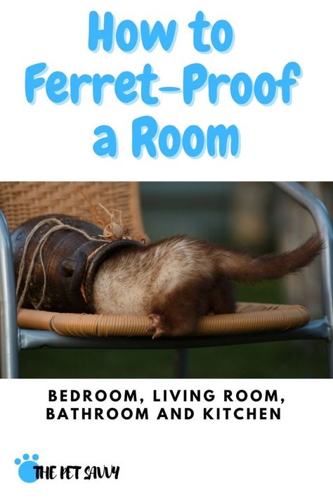 Ferret Diy, Ferrets Care, Ferret Cage, Pet Ferret, Pocket Pet, Single Room, Be Dangerous, Animal Projects, Back To Nature