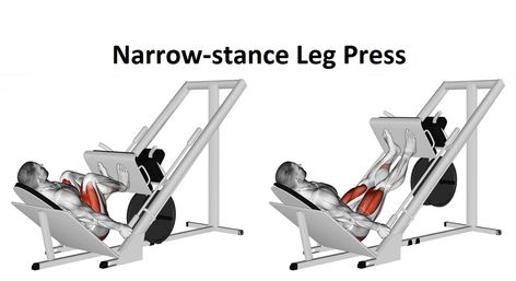 The Narrow-stance Leg Press is a machine-based workout that focuses on the muscles in the legs. It focuses on the quads, specifically those muscles that are located in the outer hips and quads. It is usually used as an addition to the squat or as a building exercise during lower-body conditioning which is typically done for moderate-to-high […] Best Calf Exercises, Calf Press, Calf Exercises, Leg Press Machine, Gym Machines, Leg Day Workouts, Fitness Progress, Leg Press, Workout Machines