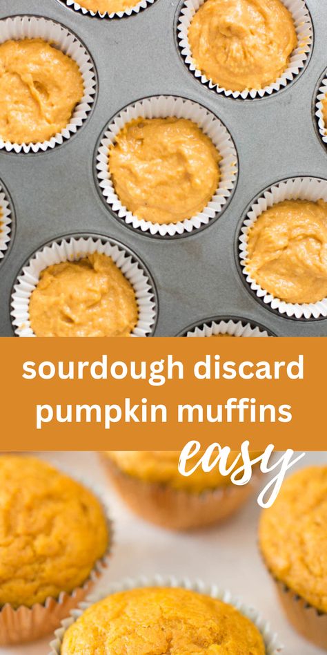 Sourdough Discard Pumpkin, Sourdough Discard Recipe, Treats For Christmas, Sourdough Pumpkin, Sourdough Muffins, Easy Sourdough Bread Recipe, Pumpkin Muffins Easy, Discard Recipe, Sourdough Bread Sandwiches