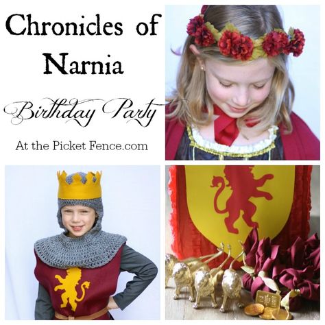 Narnia Birthday Party, Narnia Birthday, Narnia Party, Narnia Costumes, Chronicles Of Narnia Books, Lion Witch Wardrobe, William Moseley, Knight Party, Birthday Party Design