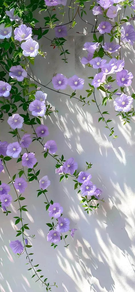 Mediterranean Summer, Flowers Photography Wallpaper, Beautiful Bouquet Of Flowers, Simple Wallpapers, Photography Wallpaper, Pretty Wallpapers Backgrounds, Alam Yang Indah, Purple Wallpaper, Cute Wallpaper Backgrounds