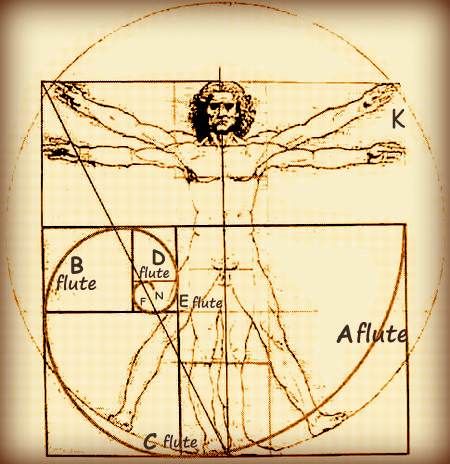 Leonardo Da Vinci Vitruvian Man, Da Vinci Vitruvian Man, Elements Tattoo, Vitruvian Man, Architecture Drawing, I Tattoo, Aura, To Draw, Tattoo Ideas