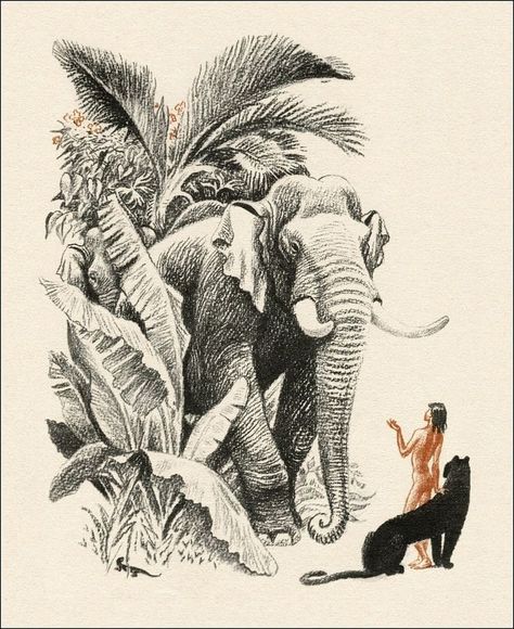 Jungle Book Drawing, Book Drawing Ideas, Elephant Art Tattoo, Trippy Tattoo, Animal Tattoo Ideas, Drawing Scenery, Pen Art Work, Pen Art Drawings, Female Art Painting