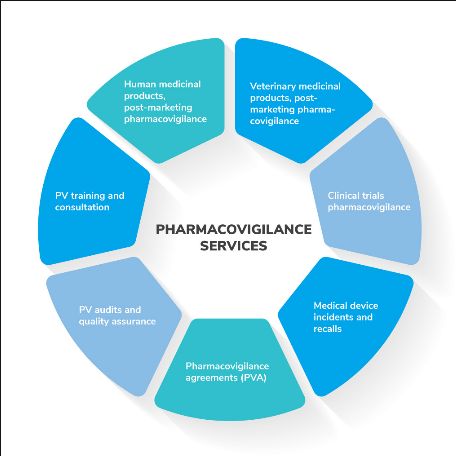 Pharmacovigilance services are an area that obviously no pharmaceutical company can afford to make a single mistake with. It can be a time-draining task to decipher all the information from prospective pharmacovigilance companies, costing you valuable working hours. Pharmaceutical Company, Bff Drawings, Mandala Art Therapy, Simple Rules, Working Hours, Clinical Trials, Life Cycles, Poster Making, E-book