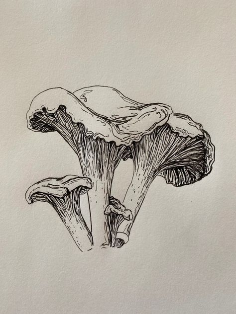 Shroom Art, Chanterelle Mushrooms, Woodcut Tattoo, Art Mushroom, Mushroom Tattoos, Mushroom Drawing, Mushroom Art, Floral Prints Art, Etsy Art