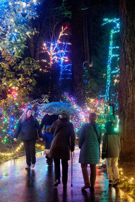 Oregon Christmas, Best Christmas Light Displays, Oregon Garden, Coast Guard Stations, Lincoln Park Zoo, Best Christmas Lights, German Christmas Markets, Christmas Light Displays, Festivals Around The World