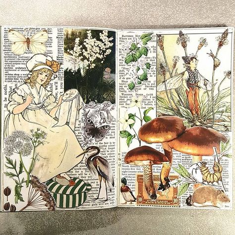 Constance Rose, Botanical Sketchbook, Gcse Art Sketchbook, Collage Book, Collage Art Projects, Book Arts, Painting Collage, Gcse Art, Flower Fairies