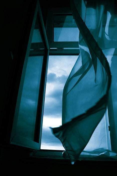 Photo Open your wings and set yourself free Blowin' In The Wind, Foto Art, Window View, Open Window, Through The Window, Summer Breeze, Blue Aesthetic, White Photography, Light And Shadow