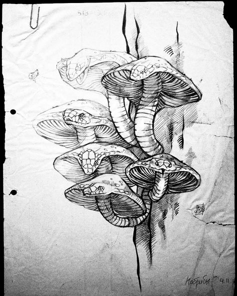 Snake Mushroom, Drawing Creepy, Armband Tattoos, Creepy Tattoos, 다크 판타지, Tattoo Art Drawings, Dark Art Drawings, Dark Tattoo, Best Tattoo Designs