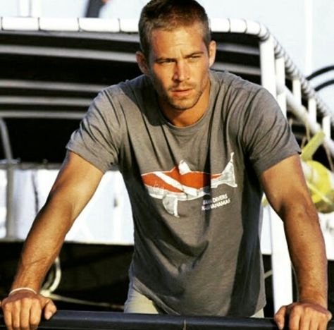 Paul Walker Paul Walker Poster, Paul Walker Movies, Cody Walker, Brian Oconner, Paul Williams, Actor Paul Walker, Paul Walker Pictures, Rip Paul Walker, Scott Caan