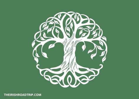 Celtic Tree of Life: Its Meaning + History (aka Crann Bethadh) Celtic Tree Tattoos, Tree Of Life Logo, Tree Of Life Meaning, Celtic Words, Ancient Egyptian Tombs, Tree Of Life Symbol, Celtic Symbol, Tree Of Life Art, Tree Of Life Tattoo