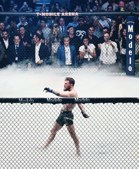 The calm before the storm 🌬️ Incredible photo @powersimagery👍 #ufc229 #conormcgregor . . . . #ufc…” Conor Mcgregor Wallpaper Hd, Mcgregor Walk, Conor Mcgregor Wallpaper, Conner Mcgregor, Conor Mcgregor Quotes, Mcgregor Wallpapers, Notorious Mcgregor, Ufc Conor Mcgregor, Ufc Poster