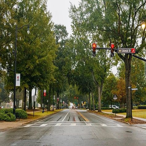 University of Alabama University Of Alabama Aesthetic, University Of Alabama Campus, Alabama Football Game, Univ Of Alabama, University Aesthetic, Tuscaloosa Alabama, Alabama Crimson Tide Football, Crimson Tide Football, The University Of Alabama