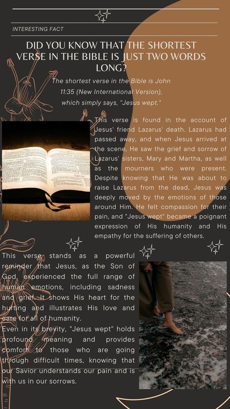 Short Verses, Jesus Wept, Godly Wisdom, Mary And Martha, Mary And Jesus, God First, Interesting Facts, Bible Journaling, Facts About