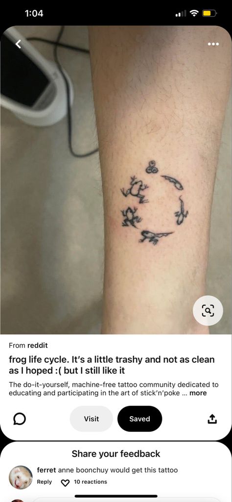 Frog Life Cycle Tattoo, Life Cycle Tattoo Ideas, Zoology Tattoo Ideas, Butterfly Life Cycle Tattoo, Tadpole Tattoo, Life Cycle Tattoo, Frog Anatomy Tattoo, Frog Cycle, Cycle Tattoo