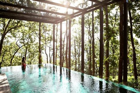 One of the most beautiful pools in the world, this infinity pool looks right on out to the Ganges River Valley in the Himalayas. Forest bathing? Yes, please. | Photo Credit: Ananda In The Himalayas Forest Resort, Ashtanga Vinyasa Yoga, Piscina Interior, Infinity Pools, Wellness Resort, Spiritual Retreat, Yoga Iyengar, Luxury Getaway, Wellness Travel