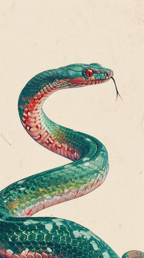 Wallpaper snake reptile drawing animal. | premium image by rawpixel.com / Bambamfefe Snake Aesthetic Drawing, Cool Snake Drawings, Snake Art Wallpaper, Snake Wallpaper Iphone, Snake Art Aesthetic, Snake Reference Photo, Snake Drawing Color, Colorful Snake Drawing, Green Snake Drawing