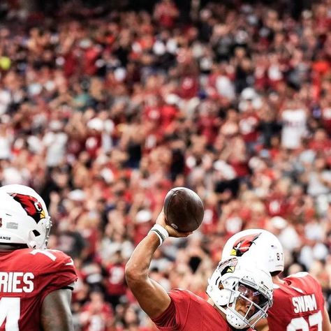 Arizona Cardinals on Instagram: "😤😤 📺 #BALvsAZ on CBS" October 29, Arizona Cardinals, Cardinals, Arizona, Football, On Instagram, Instagram, American Football