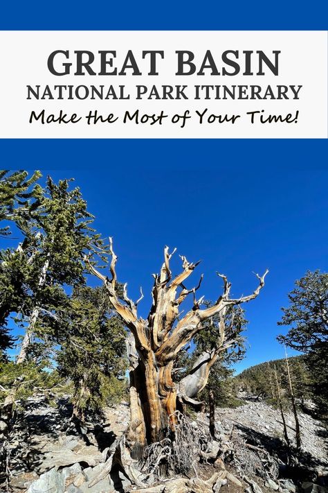 Trying to plan your Great Basin National Park itinerary? Here's how to maximize one day. Hawaii Mountains, Alaska Travel Guide, National Park Itinerary, Great Basin National Park, Great Basin, Mountain Travel, Alpine Lake, Alaska Travel, Take A Hike