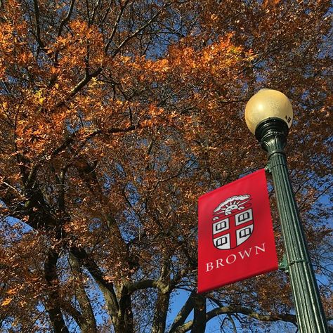 Brown University - Chermayeff & Geismar & Haviv Brown College Aesthetic, Brown University Aesthetic, University Goals, Brown University Campus, University Vibes, Cornell College, College Core, Dream University, 2025 Board