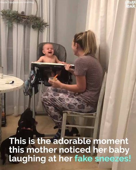 Urban Leak - Baby Hysterically Laughs At Mom's Fake Sneeze... Funny Baby Memes, Baby Memes, Cute Funny Babies, Cute Stories, 웃긴 사진, Baby Gif, Funny Video Memes, Kids Videos