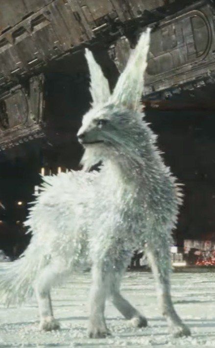 Meet the Mysterious Crystal Foxes of Star Wars: The Last Jedi Star Wars Meme, Star Wars Canon, Star Wars Quotes, Dark Vador, Star Wars Love, Star Wars Facts, Star Wars Jokes, The Last Jedi, Star Wars Outfits