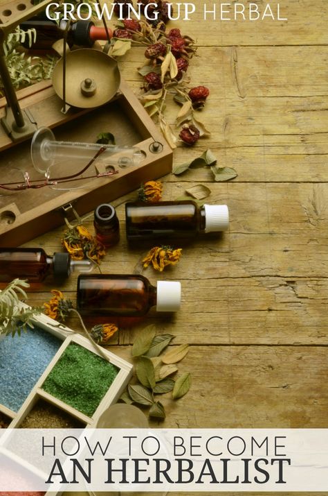 How To Become An Herbalist | Growing Up Herbal | Interested in becoming an herbalist? It's easier than you might think! Herbal Education, Essential Oils Herbs, Herbal Apothecary, Herbal Healing, Cold Home Remedies, Diy Remedies, Healing Herbs, Natural Health Remedies, Natural Herbs