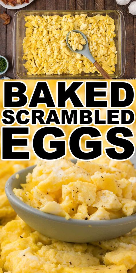 Oven baked scrambled eggs give you fluffy scrambled eggs every time. Simple prep, and easy cooking this oven baked scrambled eggs recipe is perfect for making breakfast or brunch for a crowd. Scrambled Eggs With Ham, Scrambled Egg Recipes For A Crowd, How To Make Eggs In The Oven, Baked Scrambled Eggs Oven Sheet Pan, Scrambled Eggs In Crockpot, Egg Scramble Meal Prep, Crock Pot Scrambled Eggs, Crockpot Scrambled Eggs, Scrambled Eggs In The Oven