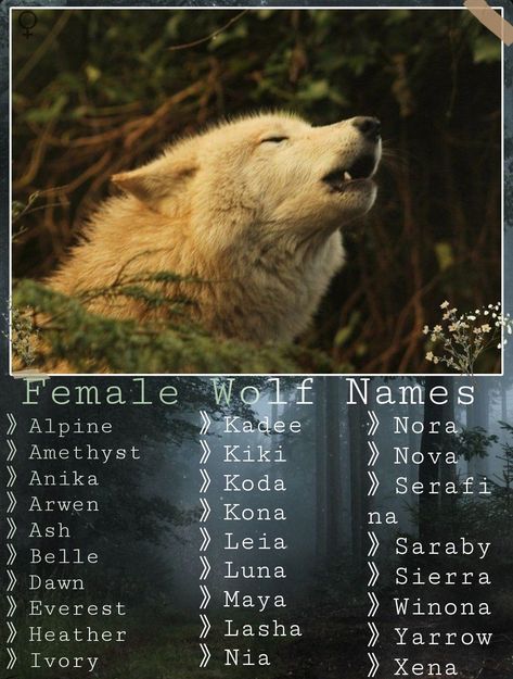 Wolf Names Ideas, Therian Names, Names That Mean Wolf, Wolf Names, Female Wolf, Werewolf Name, Fantasy Character Names, Writing Inspiration Tips, Best Character Names