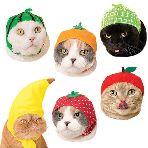 JapanLA on Instagram: “🍅🍈🍓🍌🍊🍉Turn your cat into a fruit head with these Fruits Cat Caps!! At Our Melrose store and @japanlalittletokyo and online now!! Which…” Arte 8 Bits, Scrapbook Stickers Printable, Cat Hat, Cute Costumes, Fruit Design, Silly Cats, Blind Box, Phone Themes, Scrapbook Stickers