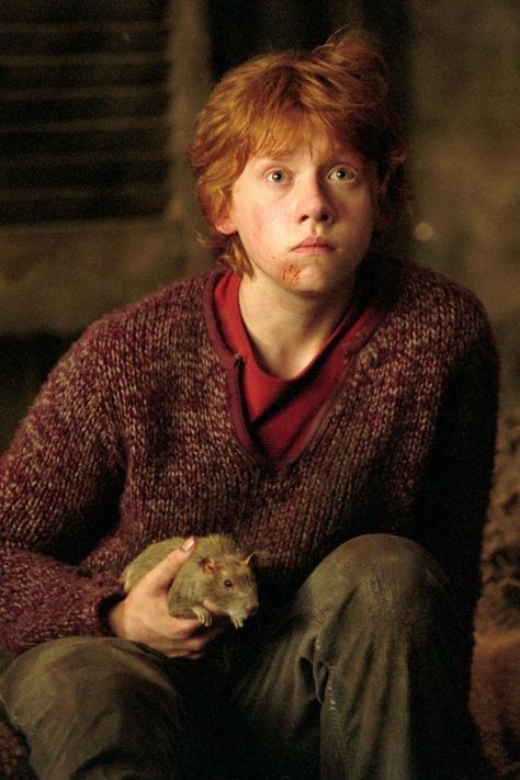 Rupert Grint Ron Weasley, Ron Ron, Weasley Aesthetic, Weasley Harry Potter, Harry Potter Ron Weasley, Ronald Weasley, Harry Potter Ron, Images Harry Potter, Rupert Grint